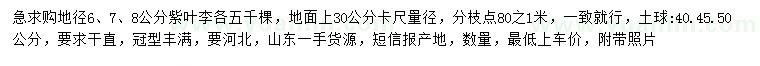 求購地徑6、7、8公分紫葉李