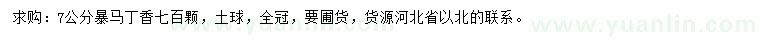 求購(gòu)7公分暴馬丁香