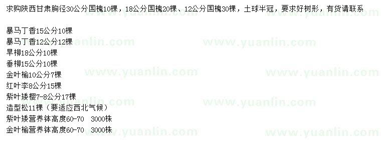 求購(gòu)國(guó)槐、暴馬丁香、旱柳等