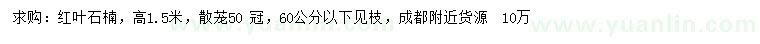 求購高1.5米紅葉石楠