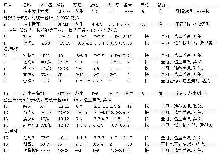 求購叢生大葉女貞、叢生桂花、杜英等