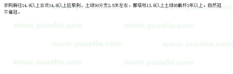 求購(gòu)合歡、巨紫荊、娜塔櫟