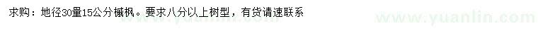 求購(gòu)地徑30量15公分槭楓