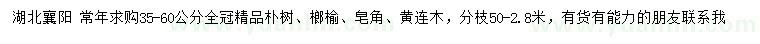 求購樸樹、榔榆、皂角等