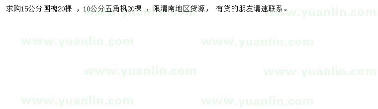 求購15公分國槐、10公分五角楓