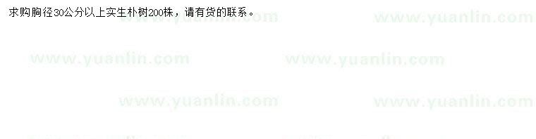 求購(gòu)胸徑30公分以上樸樹(shù)