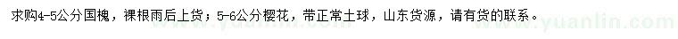 求購4-5公分國槐、5-6公分櫻花