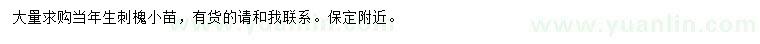求購刺槐小苗