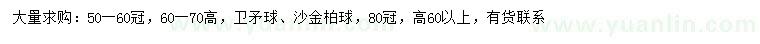 求購高60-70公分衛(wèi)矛球、60公分以上沙金柏球