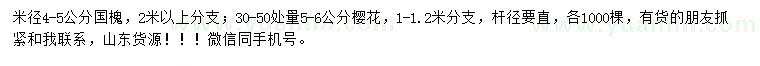 求購米徑4-5公分國(guó)槐、30-50處量5-6公分櫻花