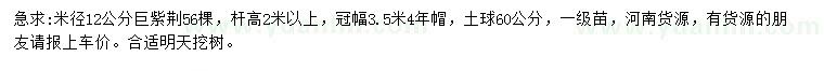 求購(gòu)米徑12公分巨紫荊