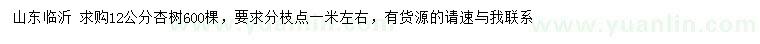 求購12公分杏樹