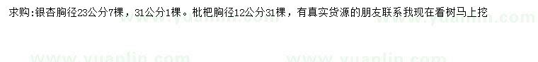 求購(gòu)胸徑23、31公分銀杏、12公分枇杷