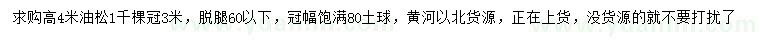 求購(gòu)高4米油松