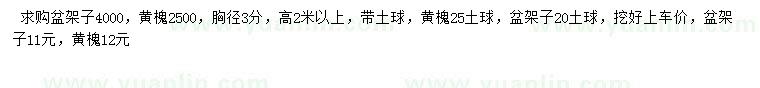 求購(gòu)盆架子、胸徑3公分黃槐