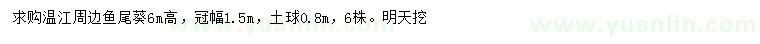 求購(gòu)高6米魚(yú)尾葵