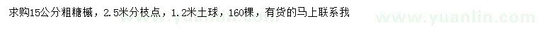 求購15公分粗糖槭