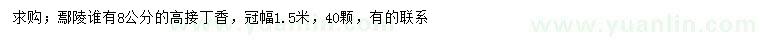 求購8公分高接丁香