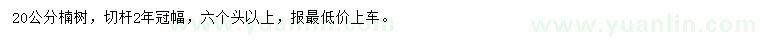 求購20公分楠樹
