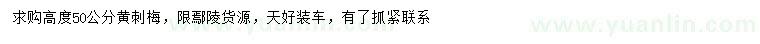 求購高度50公分黃刺梅