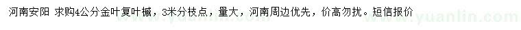 求購(gòu)4公分金葉復(fù)葉槭