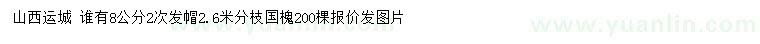 求購8公分國槐