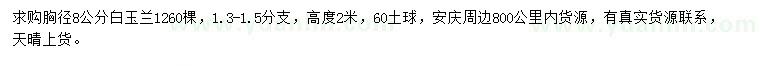 求購胸徑8公分白玉蘭