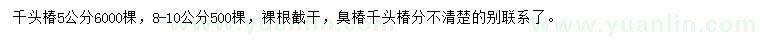 求購5、8-10公分千頭椿