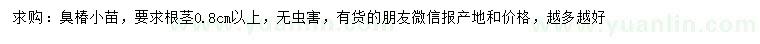 求購根徑0.8公分以上臭椿
