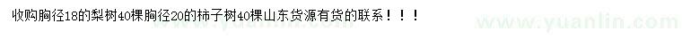 求購胸徑18、20公分梨樹