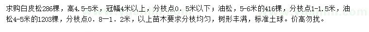 求購高4.5-5米白皮松、4-5、5-6米油松