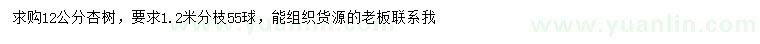 求購12公分杏樹