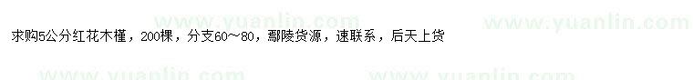 求購5公分紅花木槿