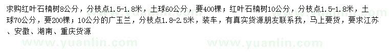 求購8、10公分紅葉石楠樹、10公分廣玉蘭