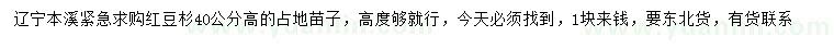 求購(gòu)高40公分紅豆杉