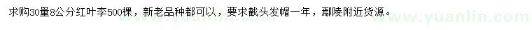 求購30量8公分紅葉李