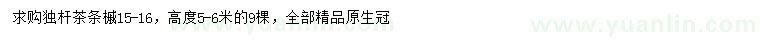 求購15-16公分獨桿茶條槭