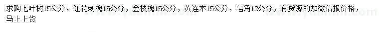 求購七葉樹、紅花刺槐、金枝槐等