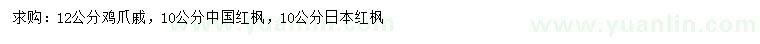 求購雞爪槭、中國紅楓、日本紅楓