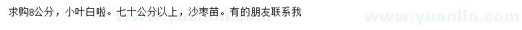 求購8公分小葉白