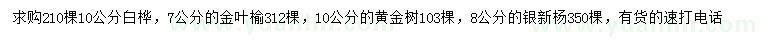 求購(gòu)白樺、金葉榆、黃金樹(shù)等