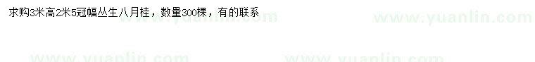 求購高3米叢生八月桂