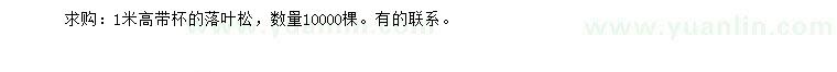 求購高1米落葉松