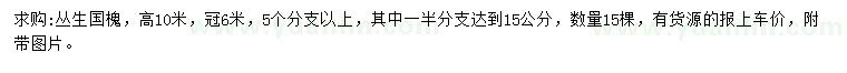 求購(gòu)高10米叢生國(guó)槐