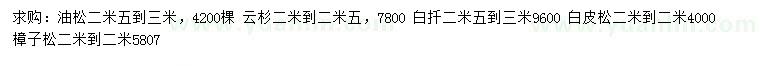 求購油松、樟子松、云杉等