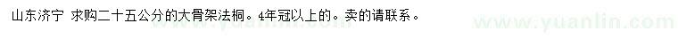 求購25公分大骨架法桐