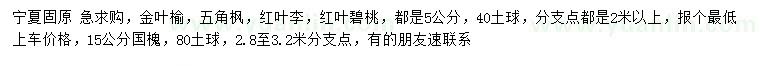 求購(gòu)金葉榆、五角楓、紅葉李等