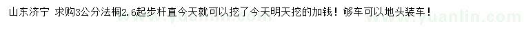求購3公分法桐