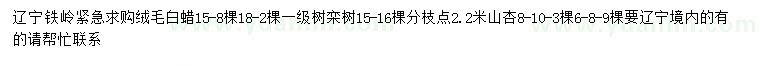 求購絨毛白蠟、欒樹、山杏