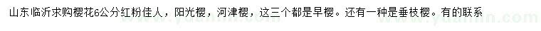 求購6公分櫻花